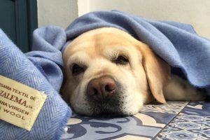 Consejos dormir bien