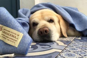 Consejos para dormir bien