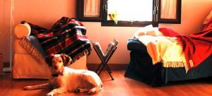 Hogar dulce hogar